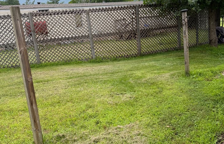 Backyard of our site