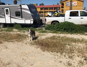 Dutchmen RV Coleman Lantern Series 274BHWE