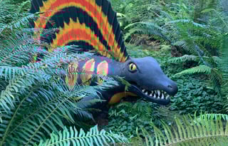 Affordable Camping 2025 Jayco sleeps 5-6