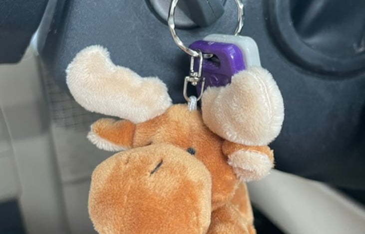 Moose key ring