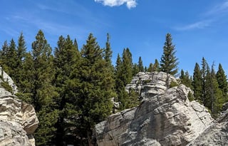 4WD All-Season "Judy" UNLIMITED MILES + Starlink