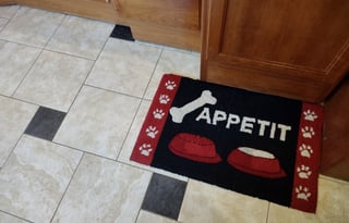 Stella - 2005 Country Coach Allure 470