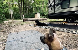 Forest River - Salem Cruise Lite 241QBXL