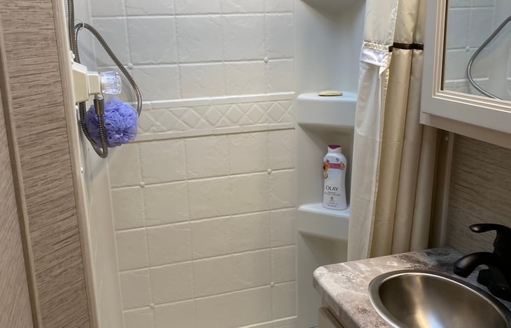 Bathroom sink and shower