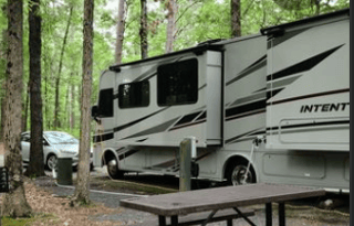 Gracie is a 2020 Winnebago Intent 30R