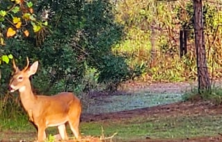 New 2025 RV Stationary. Rural area.