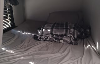 2021 Springdale Travel Trailer Rental near Redding