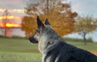 The Anywhere Adventure Van by 27North