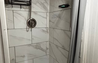 White Whale at the Lake