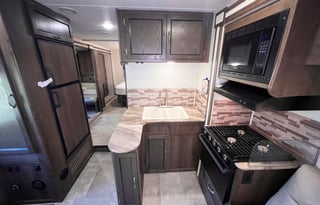 2020 Forest River Coachmen Freelander 31BH BMN1245