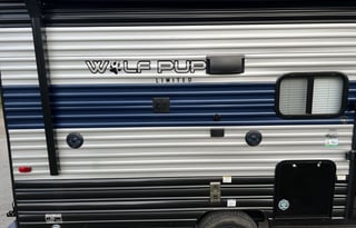 The Intrepid Grey Wolf