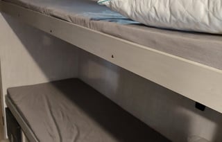 Clipper has room for the family.