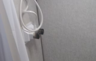 2022 Dutchmen RV Coleman Lantern LT Series 17BH