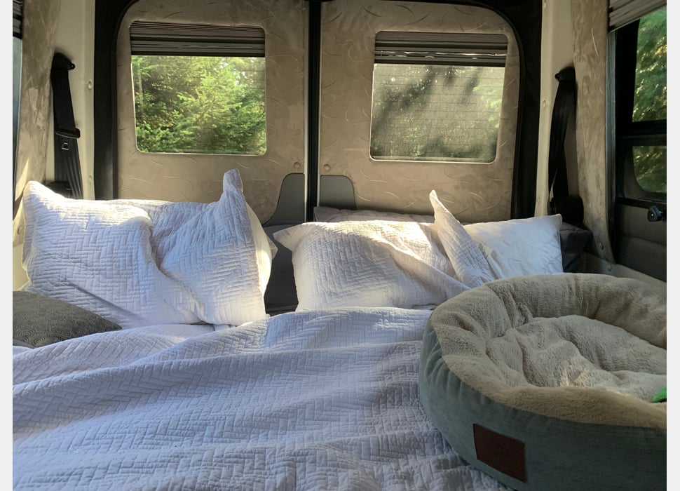 Class B Camping Van rentals in Vista