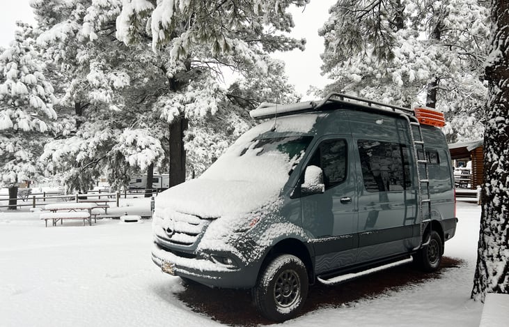 It can survive in sub 32 degree weather.