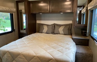 2020 Thor Motor Coach ACE 30.4 (Wander Woman)