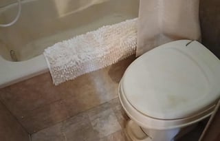 Home Away From Home/ Catalina