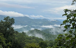 Smoky Terrace - near Waynesville entrance BRP