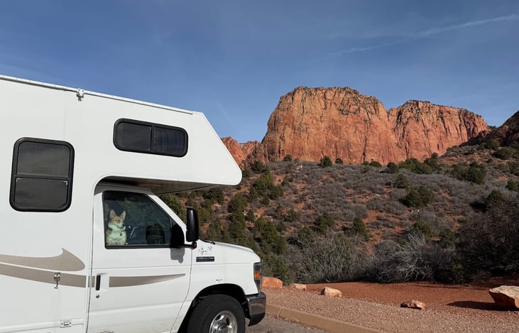 Road trip to Zion, my corgi, Stella in the window