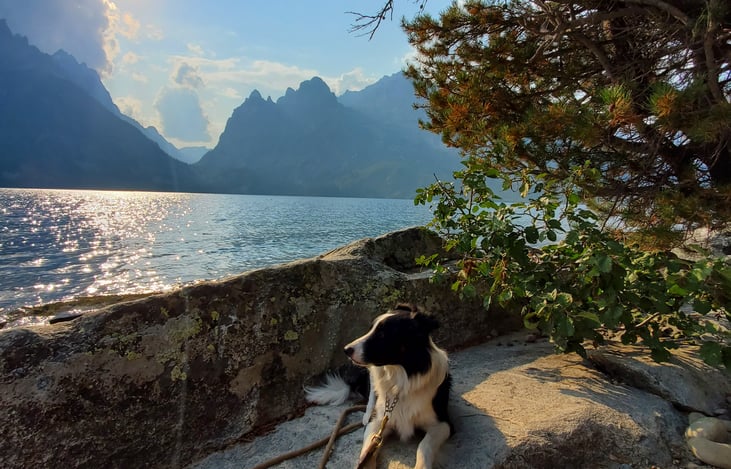 It was less than a 10 minute drive from our favorite stealth camping site on BLM land in the Grand Tetons down to Jenny Lake.