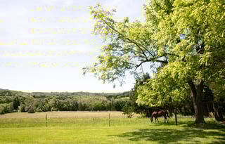 Come Glamp On Our Horse Farm!