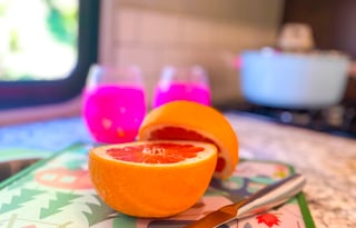 All Inclusive, Jayco Redhawk "Thelma"