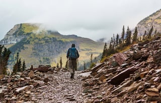 2024 Ford Tremor  Roofnest FREE P/U +STARLINK