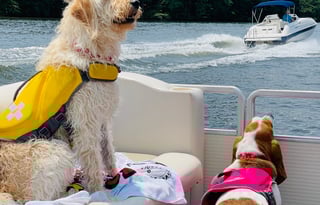 "ALANI"  is a 2017 Jayco Jay Flight