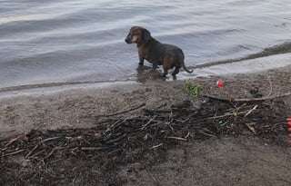 2016 Holiday Rambler Vacationer 35DK