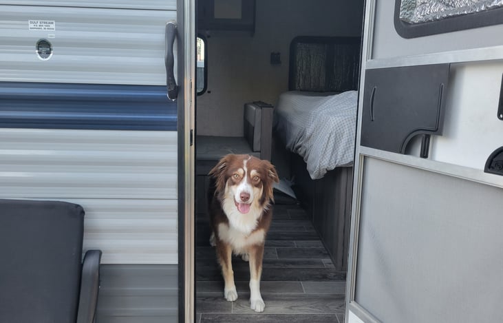 Welcome to the Trailer