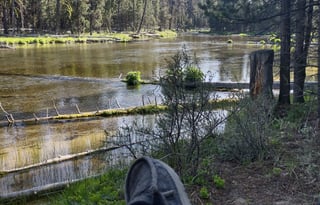 Cozy Shabby Chic, w/ Outdoor Ktchn