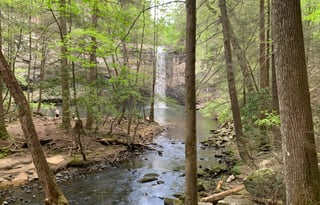 Windwalker - Calling all Captains!