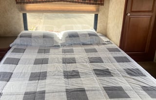 2010 Winnebago Access 31N