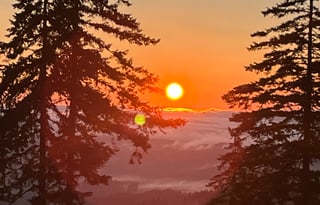 "Bunny," is a 2020 Thor Motor Coach, SUPER CLEAN!!