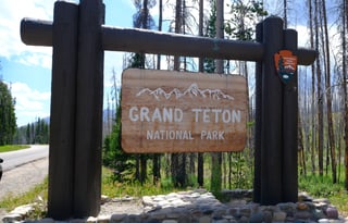 2024 Ford Tremor  Roofnest FREE P/U +STARLINK