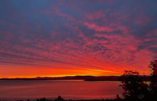 2019 Forest River RV Cherokee 255RR