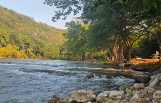 2023 "Ollie" Oliver Legacy Elite