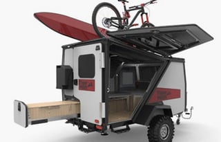 2018 Taxa Tiger Moth