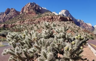 4WD REVEL "Rosie" UNLIMITED MILES Mighty 5 & More!