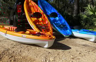 Reals Nature Coast Getaway