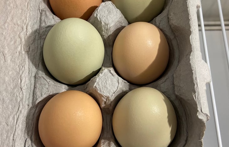 Farm Fresh Eggs
