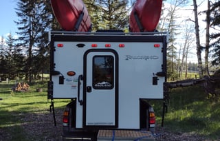 Pack-n-Play Palomino