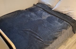 Sandy Cheeks RV Rentals Coleman(Delivery Only )