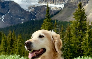 2022 Thor Class B Rize 18M