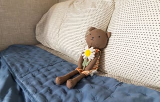 The Woodland Wanderer - 2024 Jayco Jay Flight