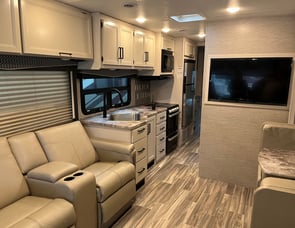 Thor Motor Coach ACE 33.1