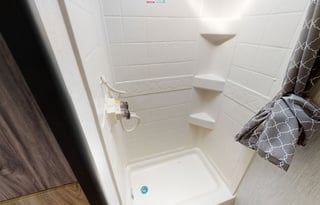 Beautiful Palomino RealLite  Great for a families!