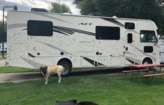 Renovated - WiFi, Pets, Jeep, Off-Grid, 24/7 Help