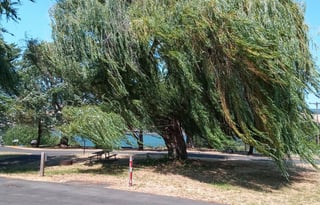 Great layout large windows, skylights + power lift
