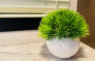 2021 Jayco Alante 26X: Easy drive/Veteran Discount